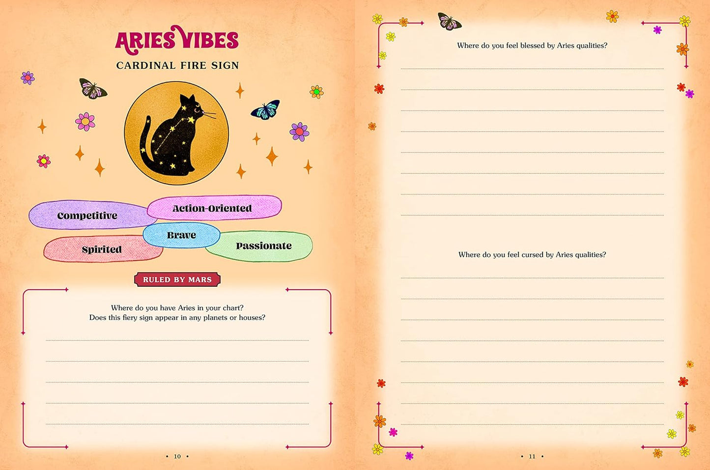 Cosmic Companion | Workbook