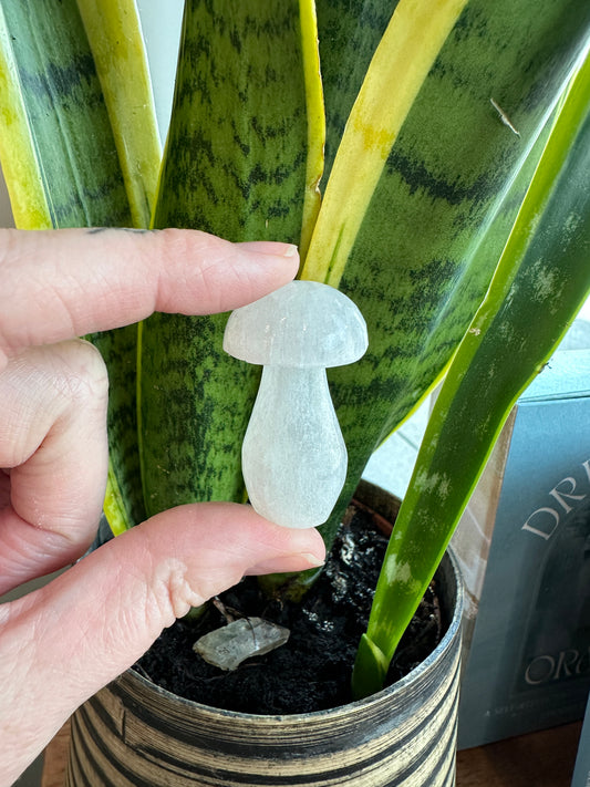 Satin-Spar Selenite | Mushrooms