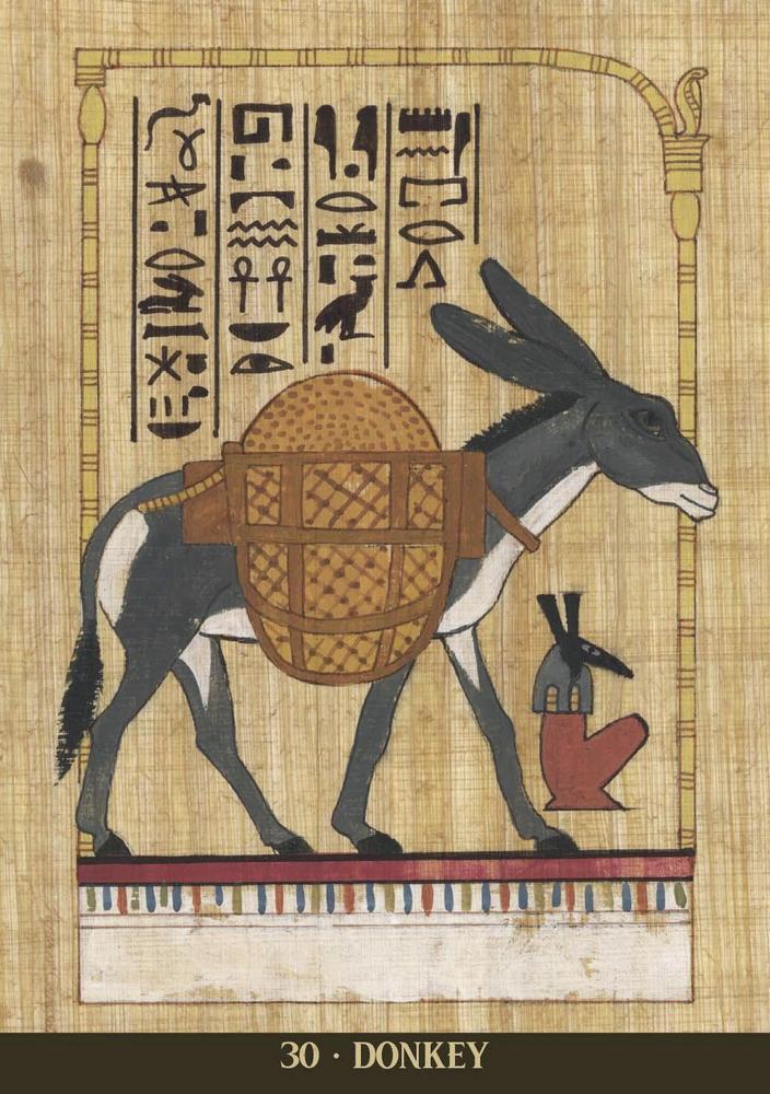 Egyptian Sacred Animals | Oracle