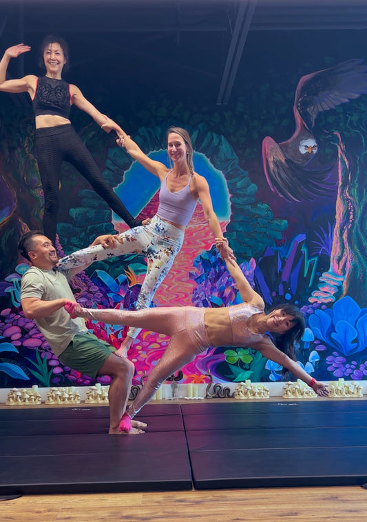 Acroyoga All-Star Intensive III