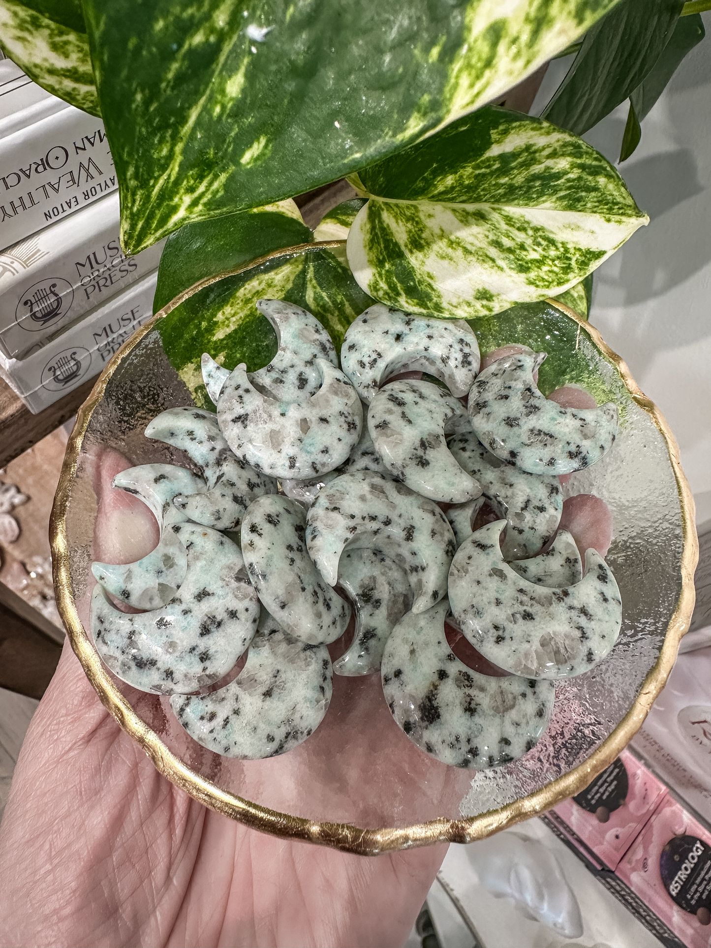 Kiwi Jasper | Mini Moons