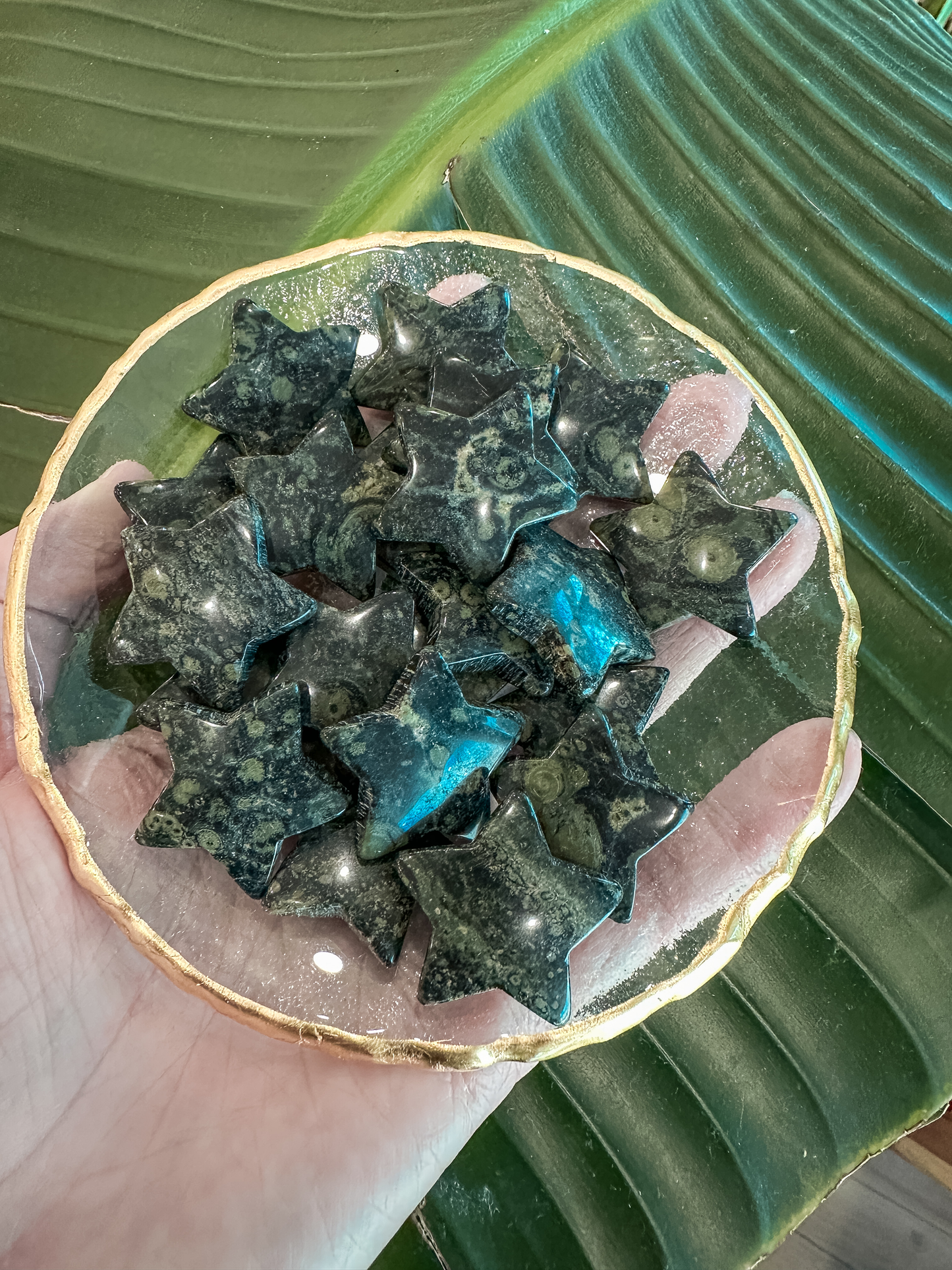 Kambaba Jasper | Stars