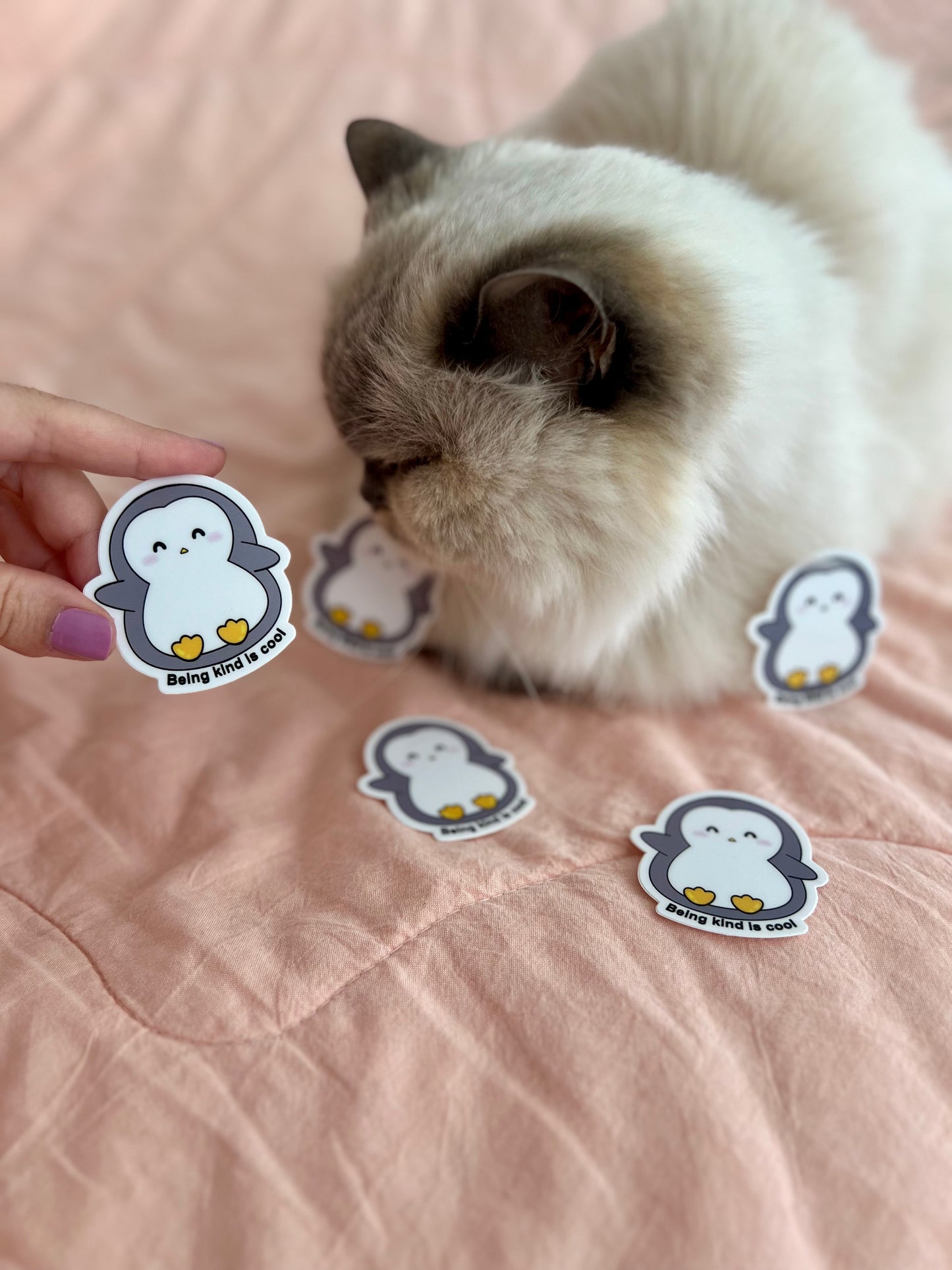 Being Kind is Cool | Sticker