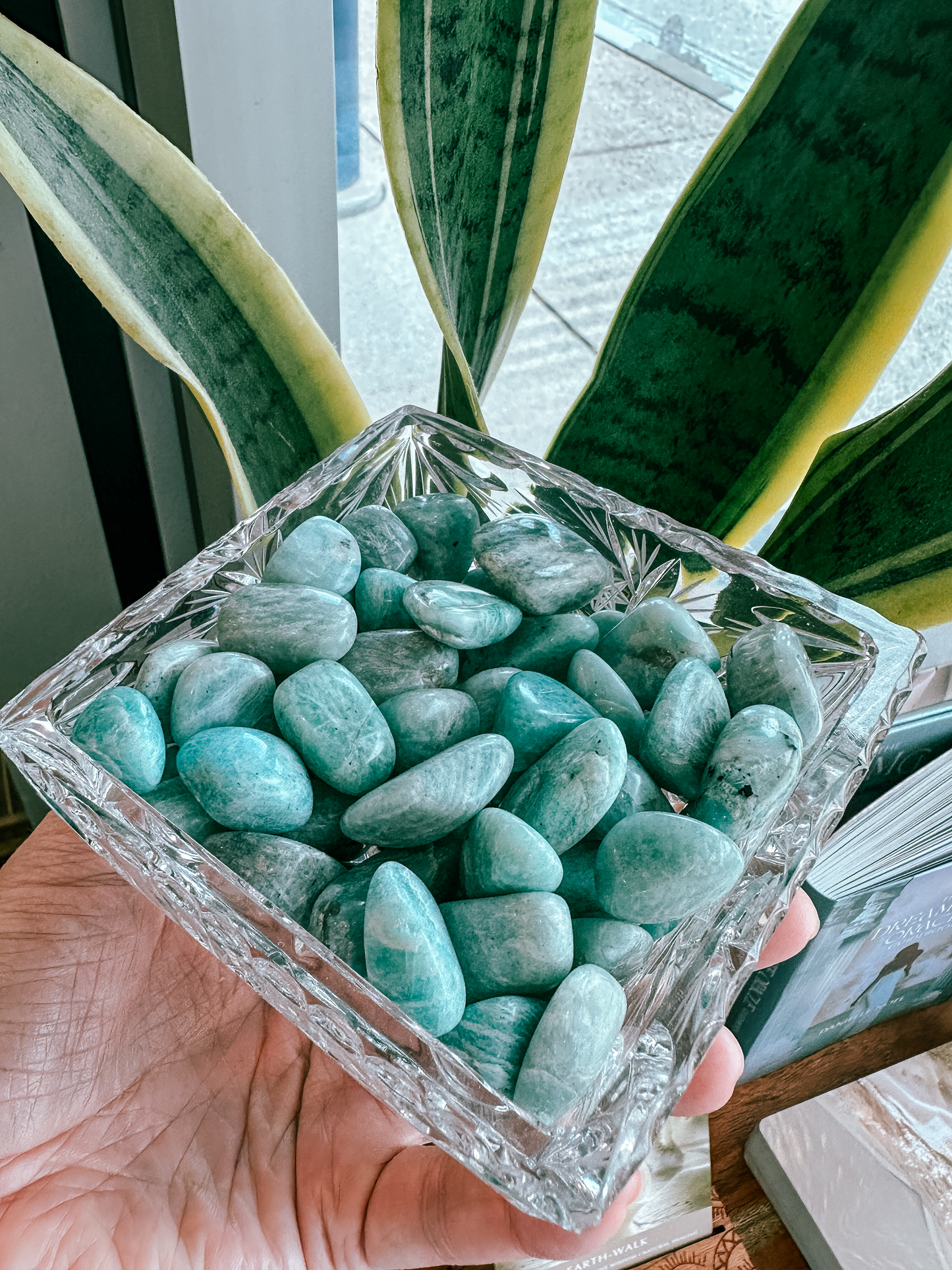 Amazonite | Tumbles