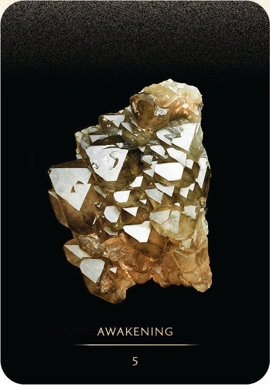 Master Teacher | Crystal Oracle