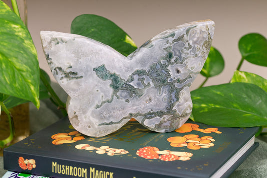 Moss Agate | Butterfly