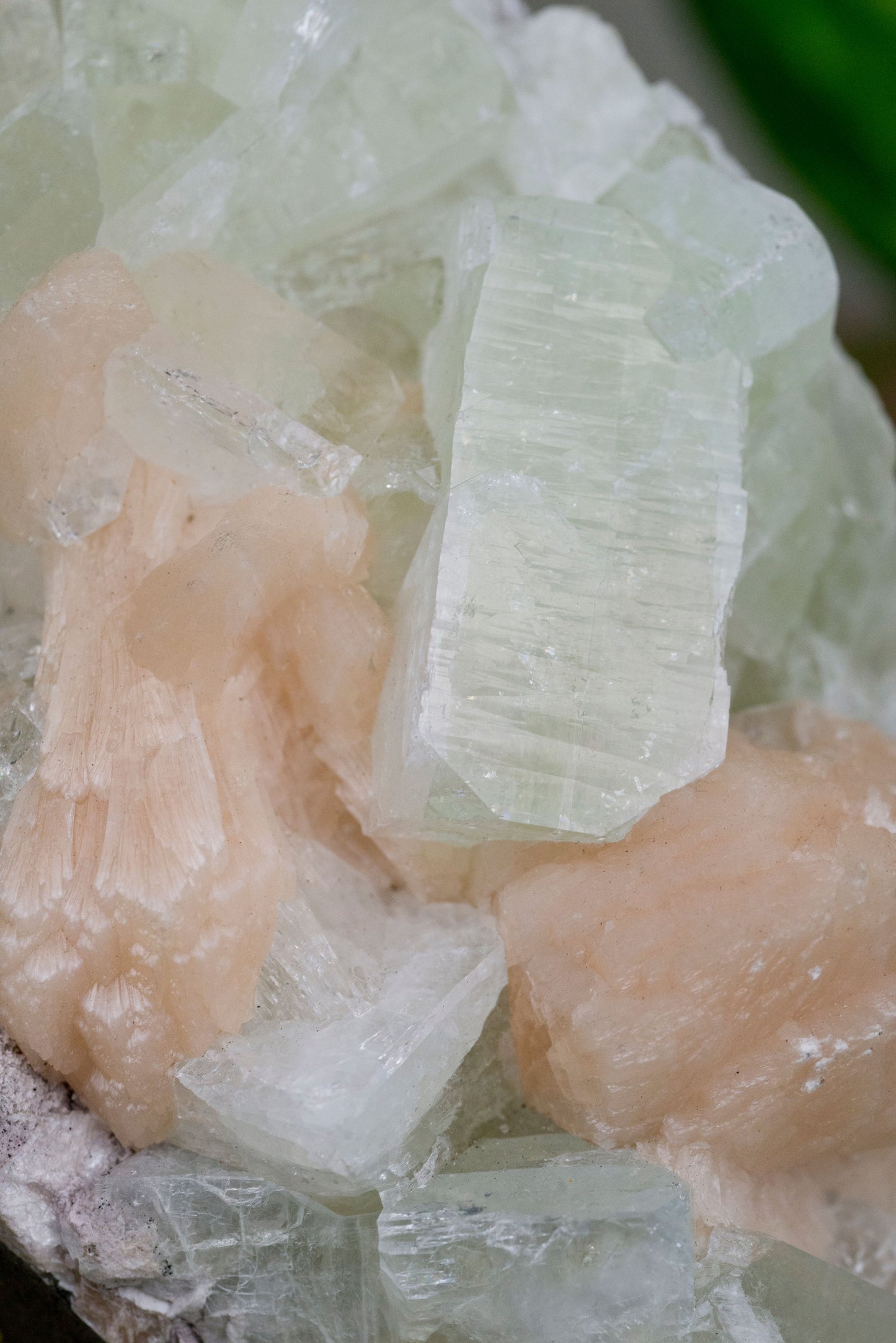 Zeolite X Green Apophyllite X Peach Stilbite | Cluster