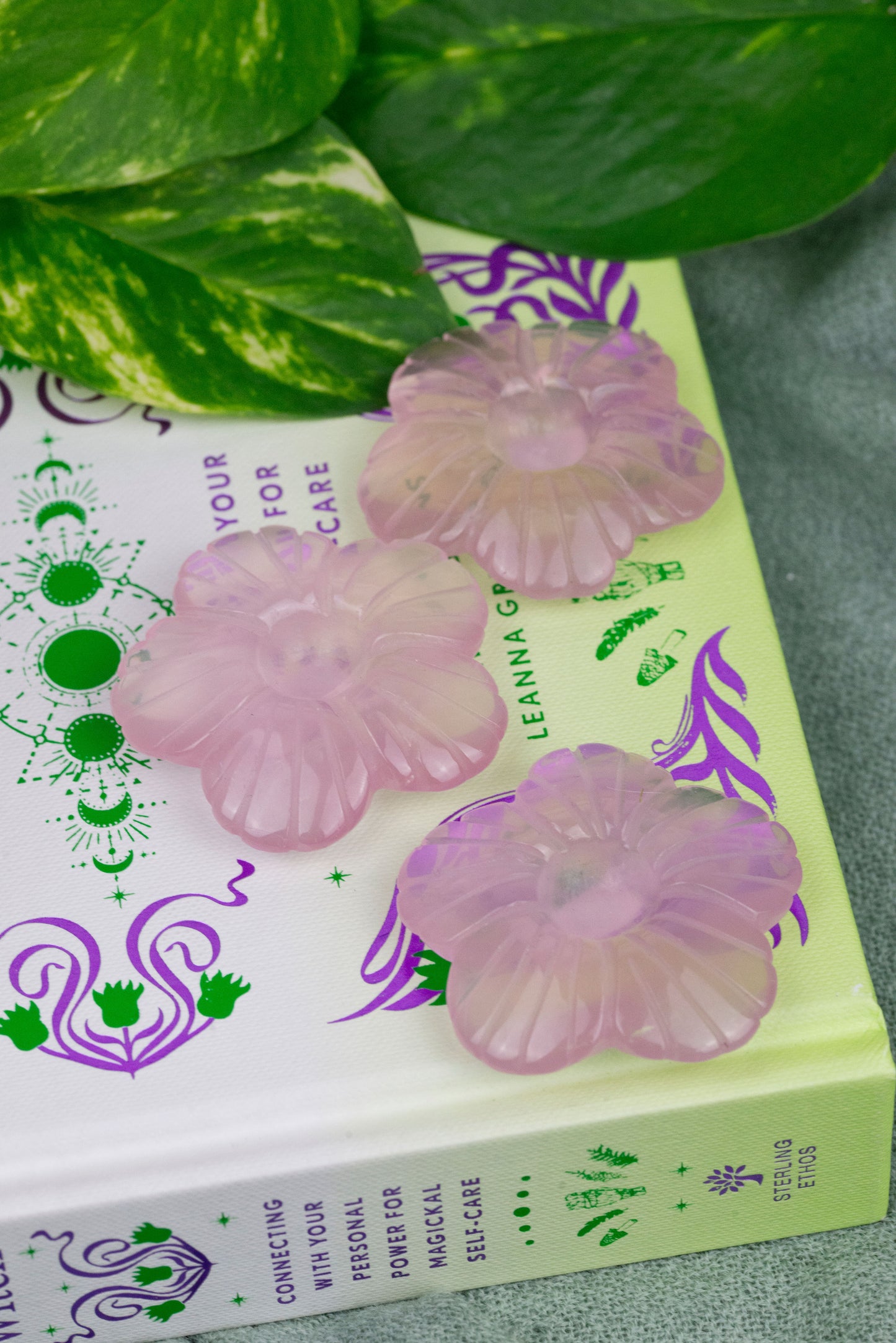 Rose Quartz | Flowers