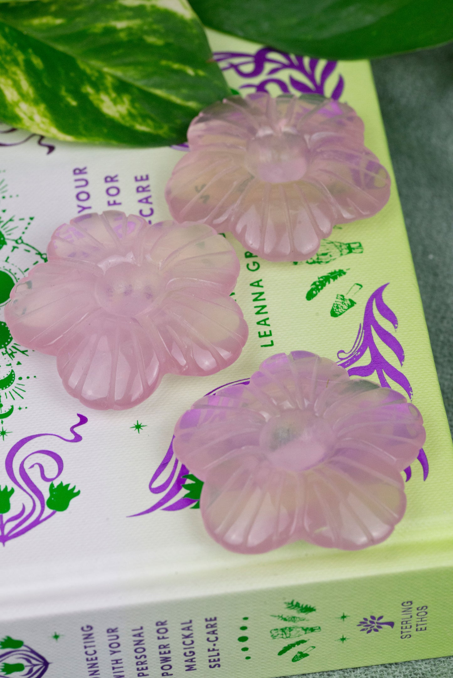 Rose Quartz | Flowers
