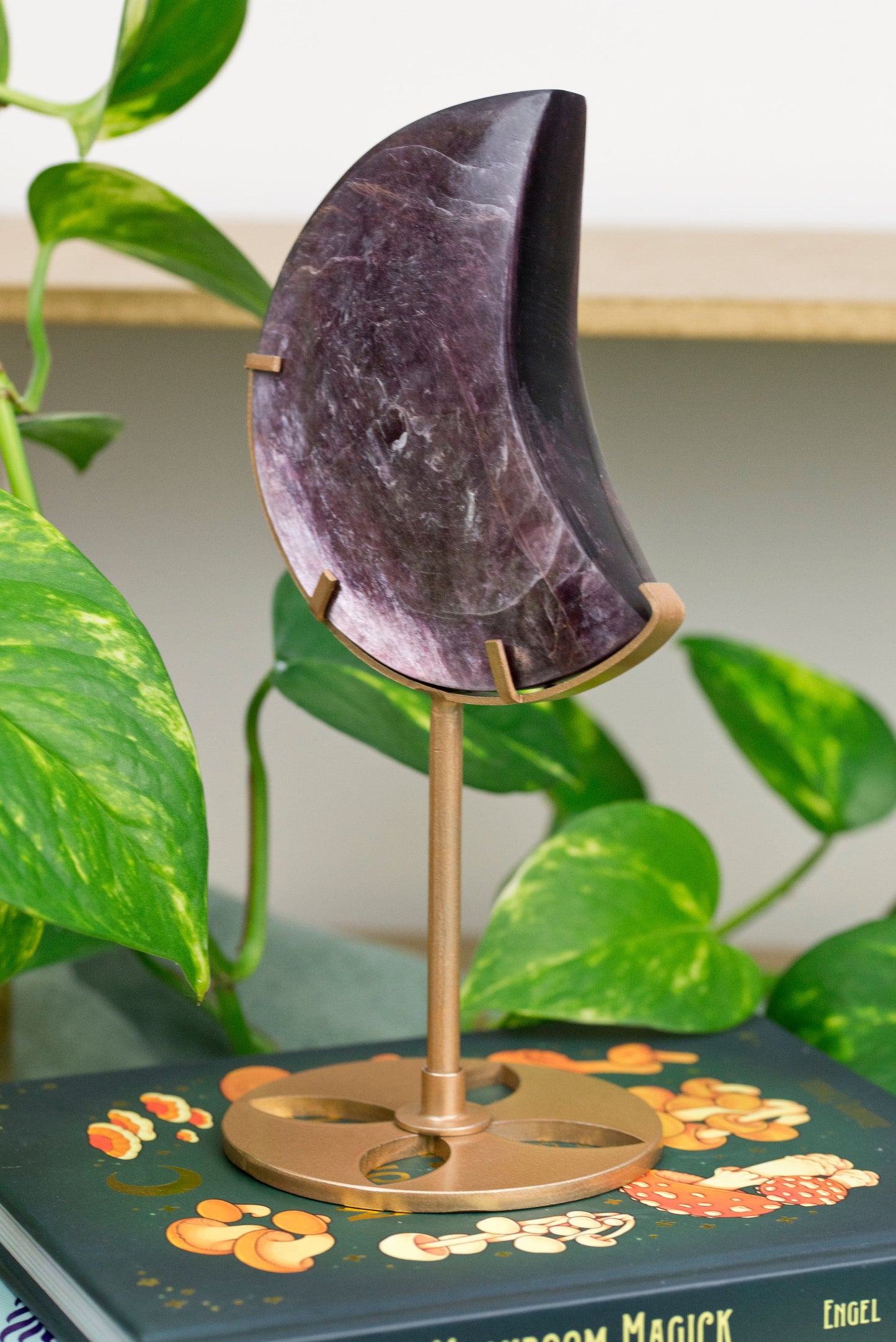 Gem-Lepidolite | Moon