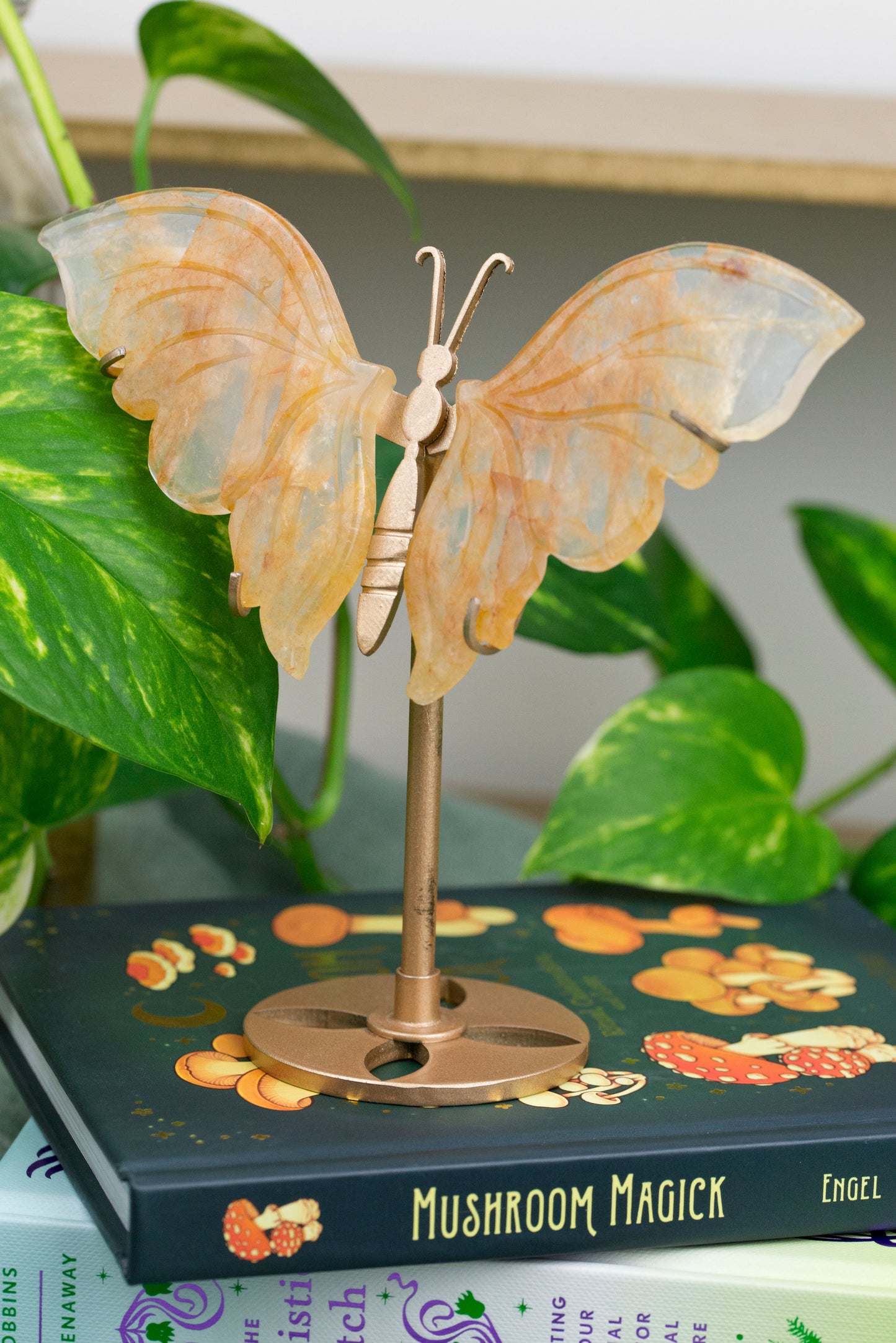 Golden Healer Quartz | Butterfly