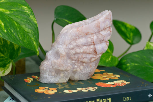 Amethyst X Flower Agate | Skull