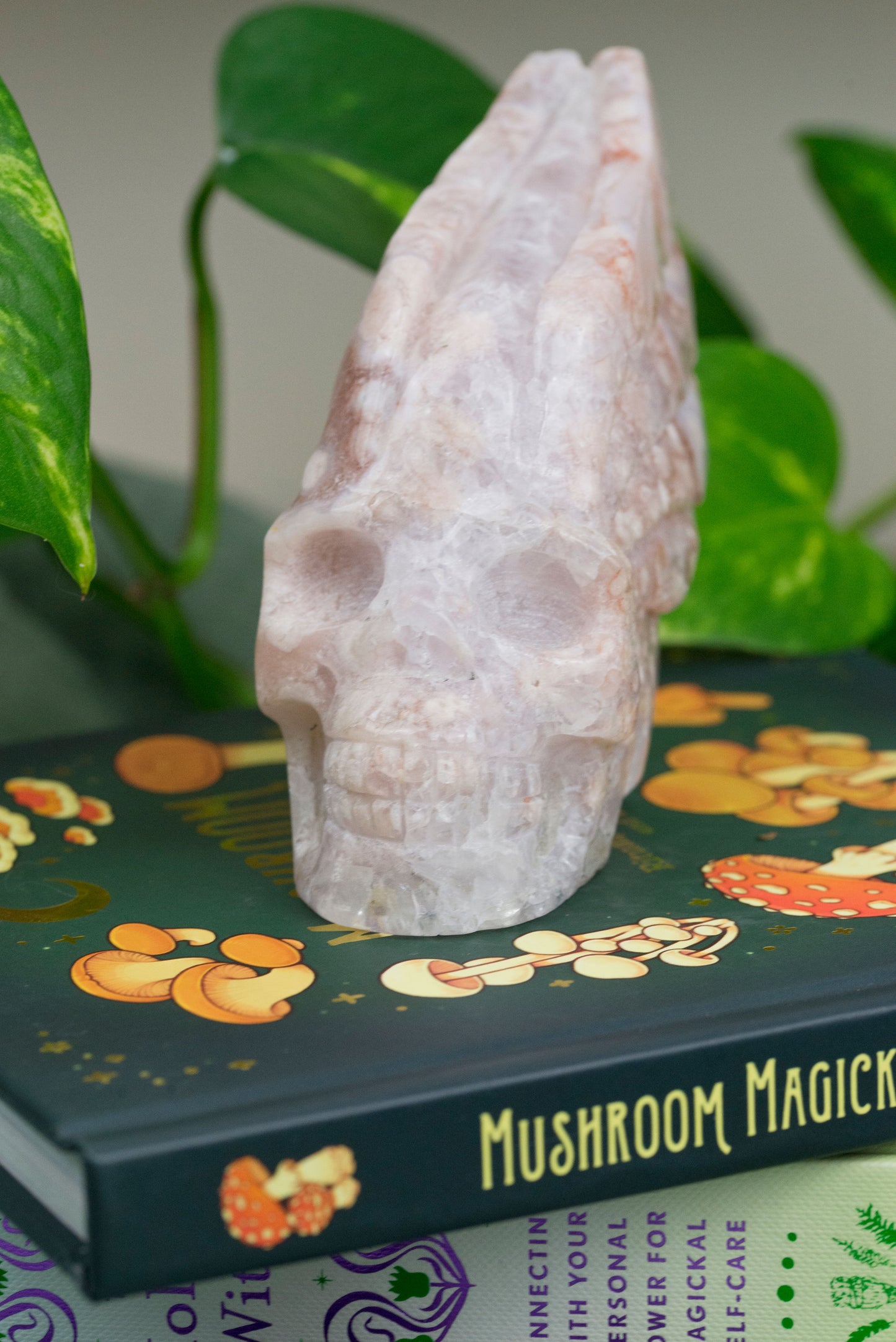 Amethyst X Flower Agate | Skull