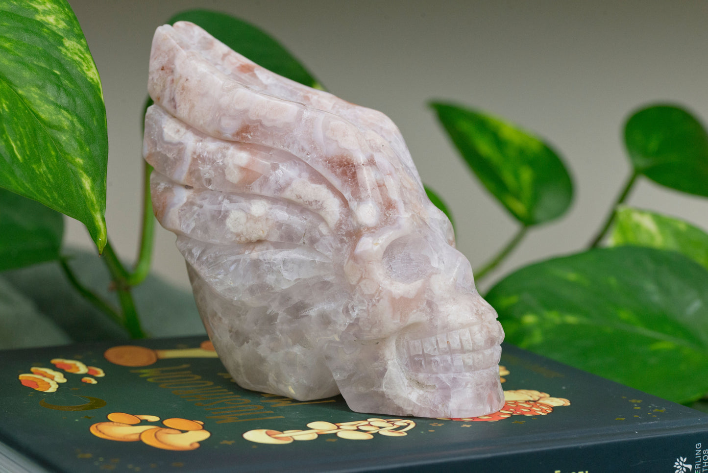 Amethyst X Flower Agate | Skull