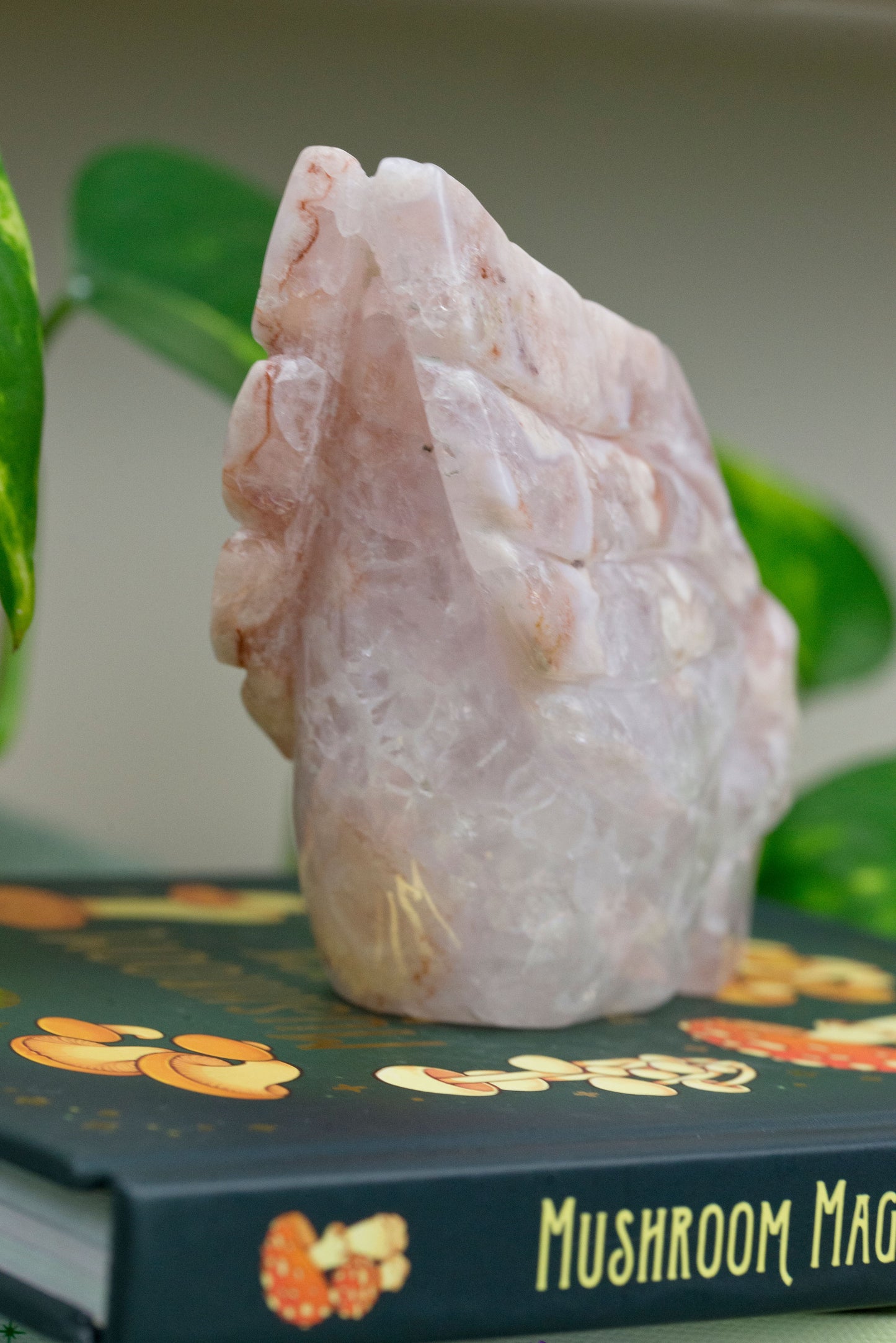 Amethyst X Flower Agate | Skull