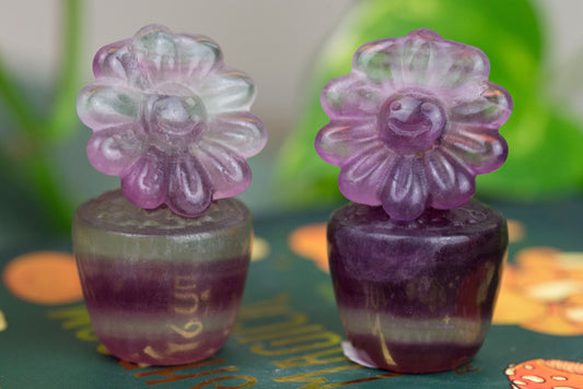 Rainbow Fluorite | Potted Flowers