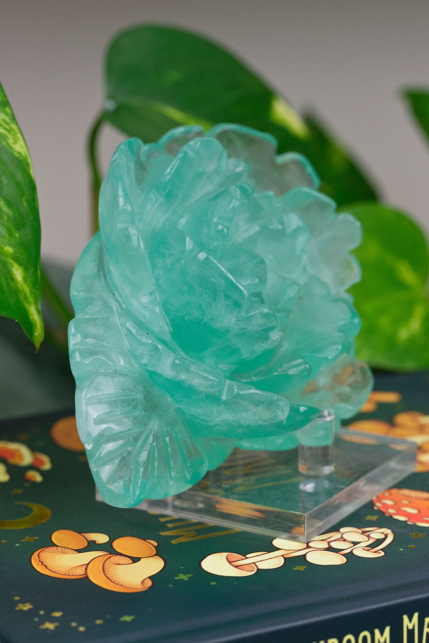 Green Fluorite | Rose