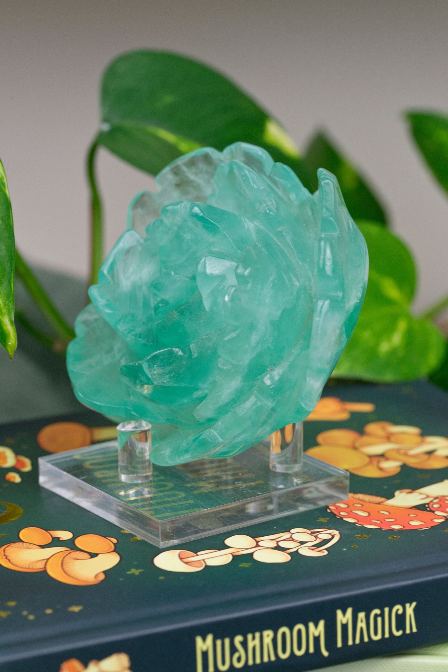 Green Fluorite | Rose