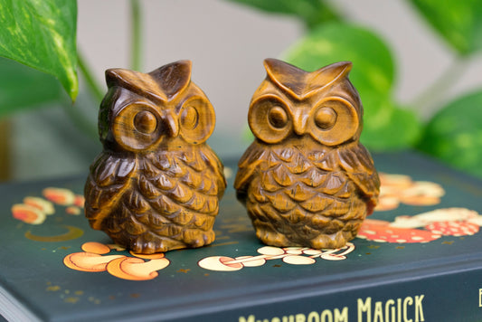 Tiger's Eye | Owls