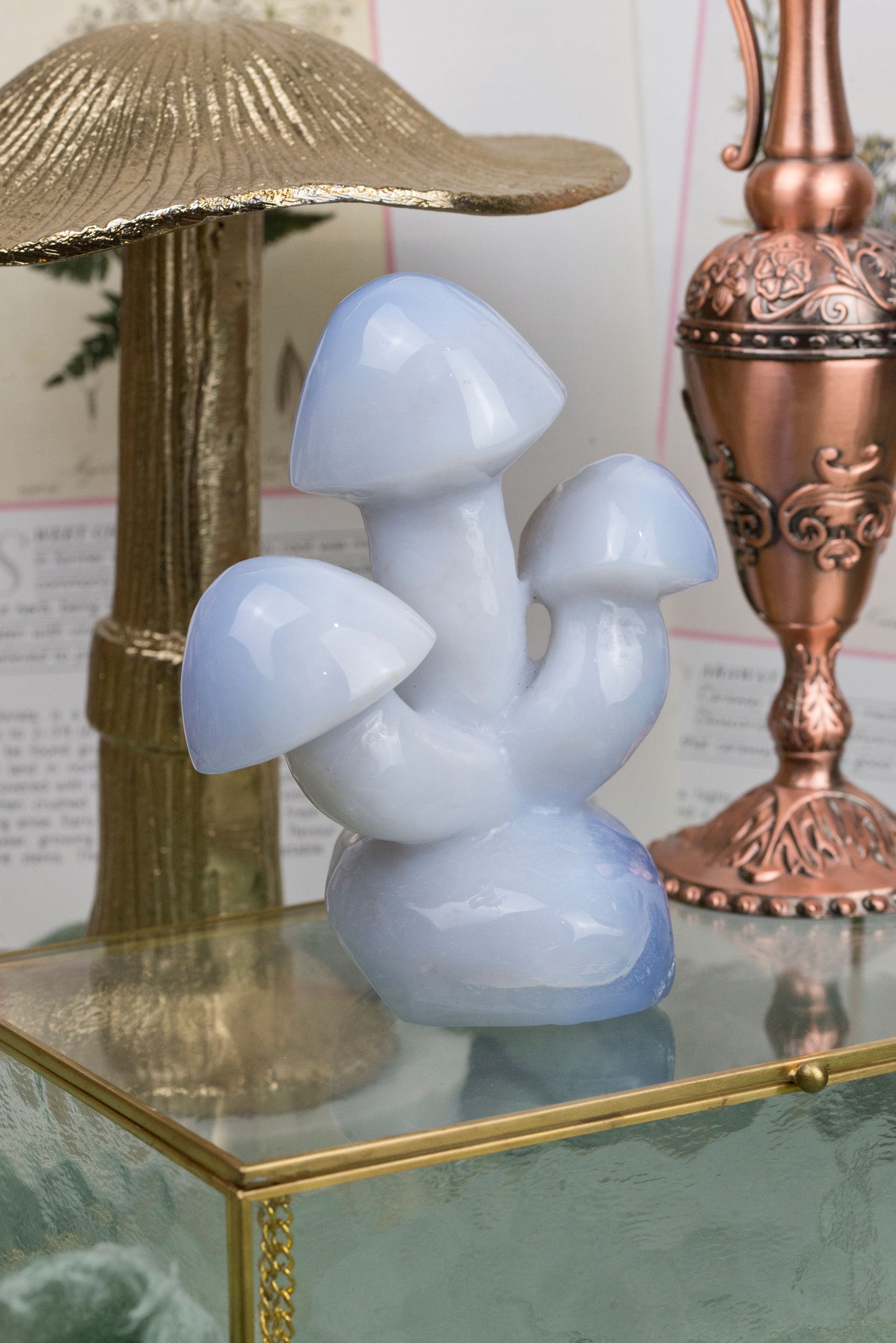 Blue Chalcedony | Triple Mushroom