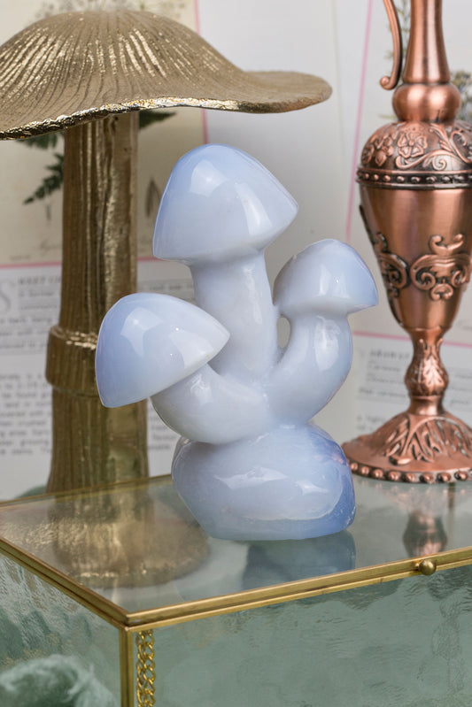 Blue Chalcedony | Triple Mushroom