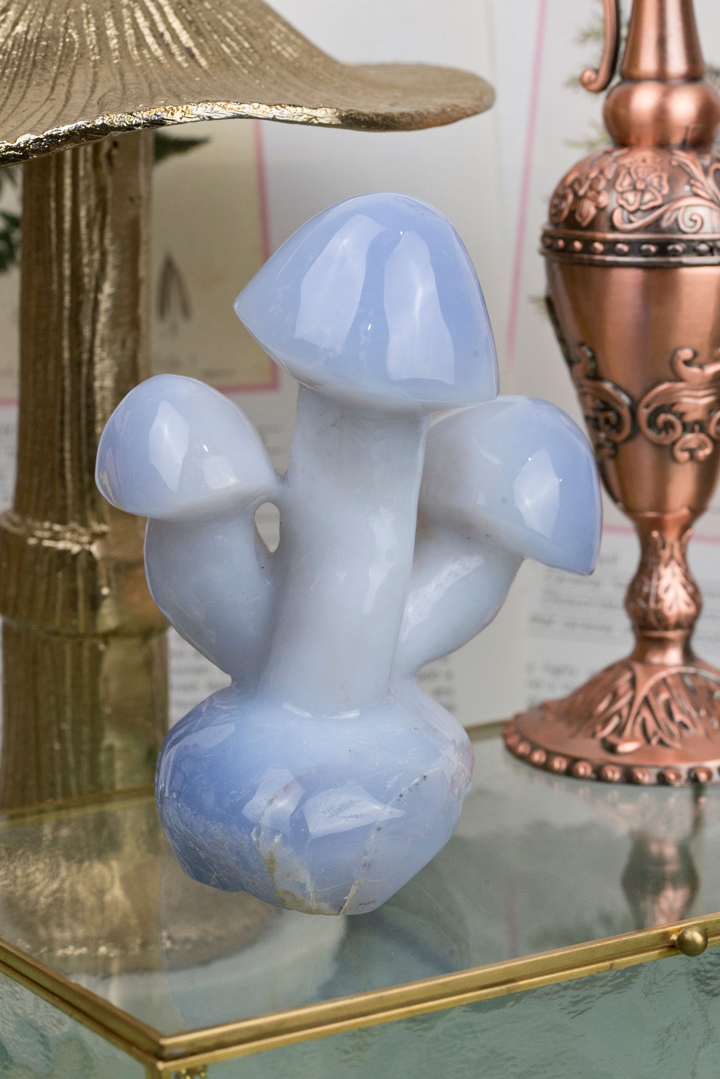 Blue Chalcedony | Triple Mushroom