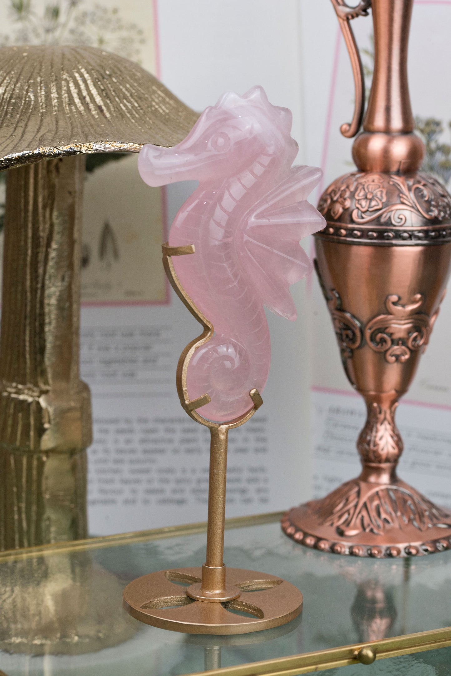Rose Quartz | Seahorse