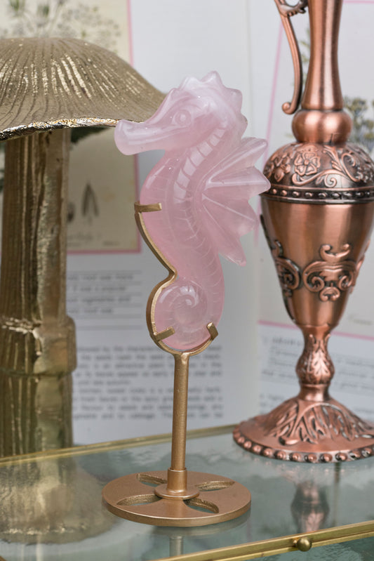 Rose Quartz | Seahorse