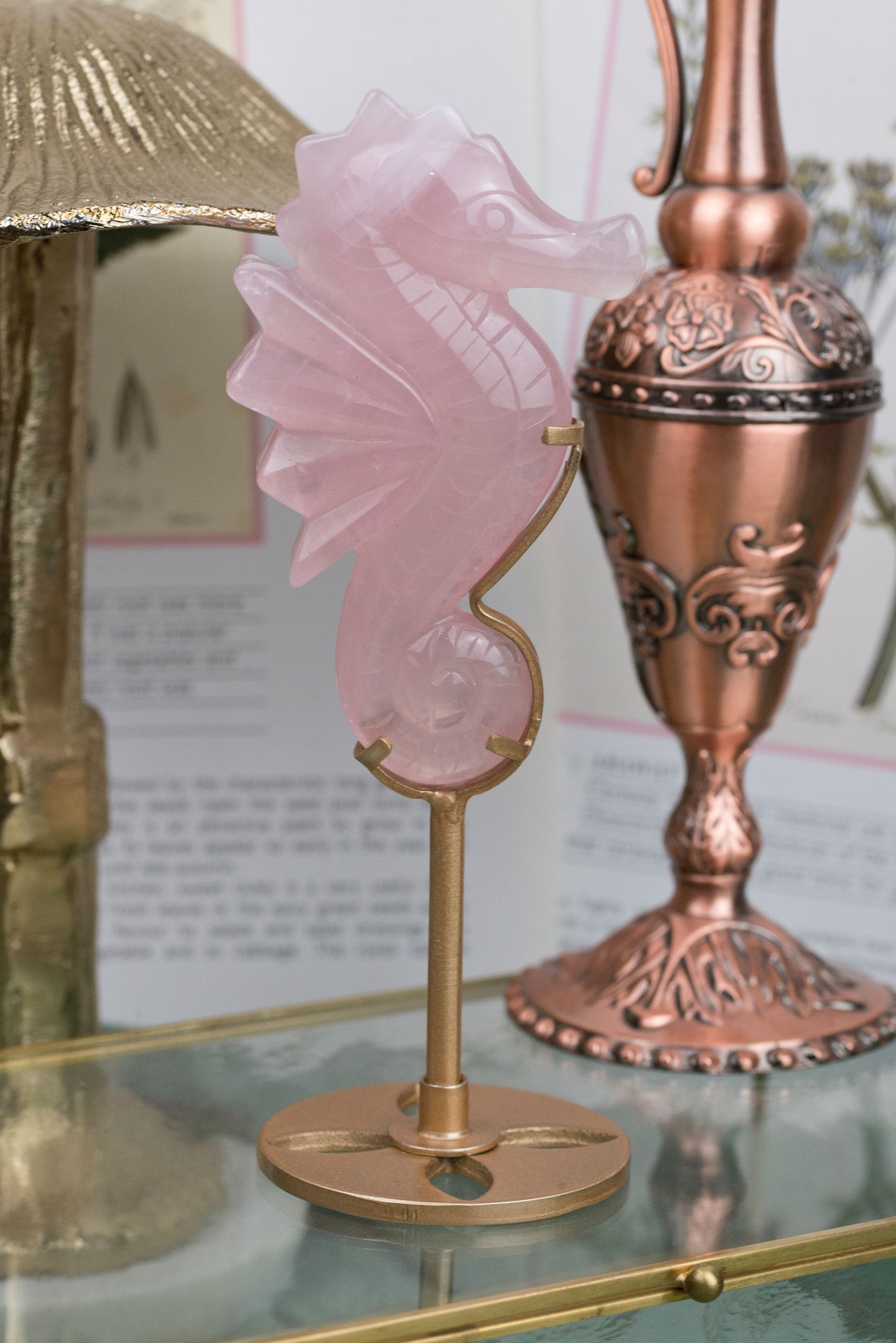 Rose Quartz | Seahorse