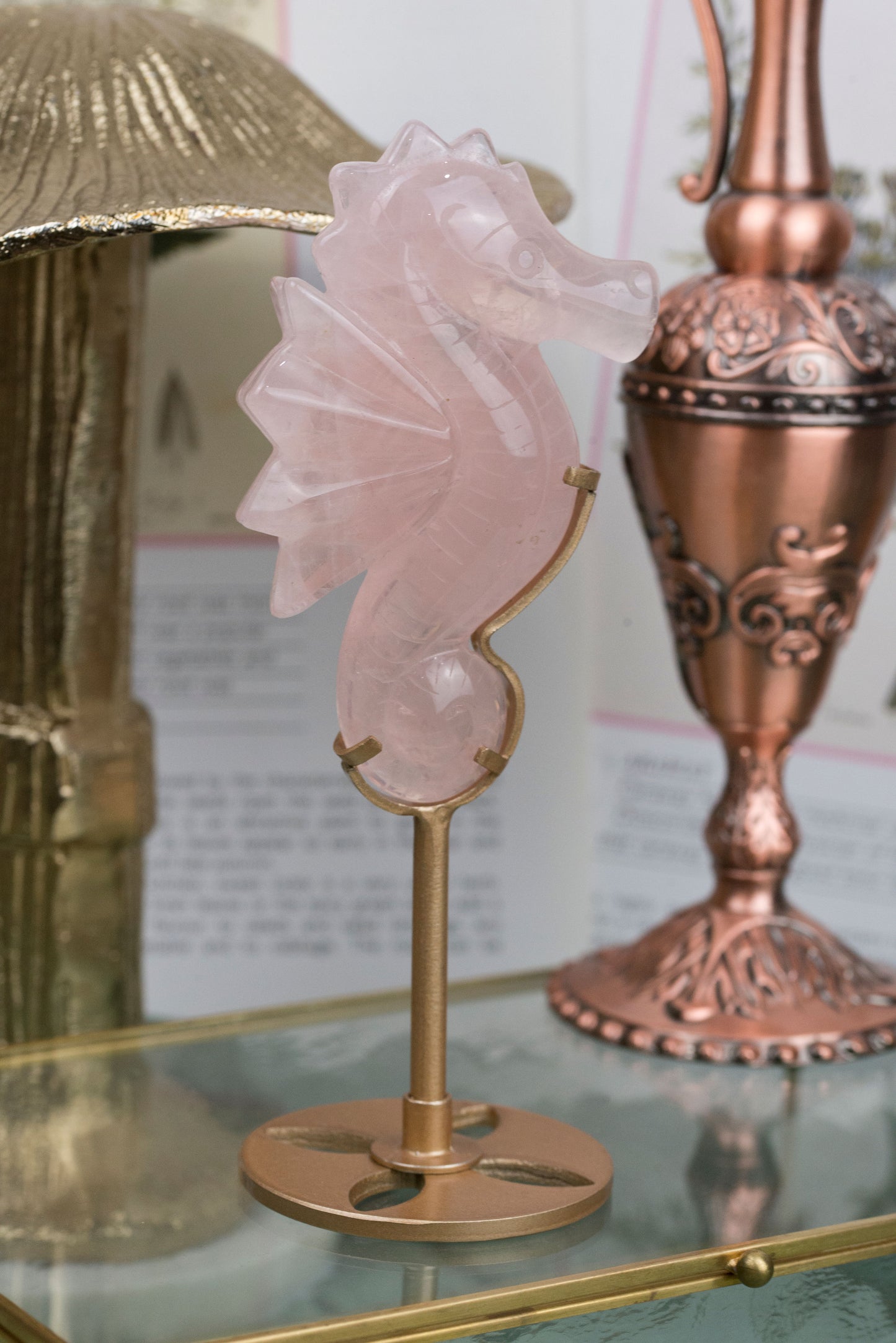Rose Quartz | Seahorse