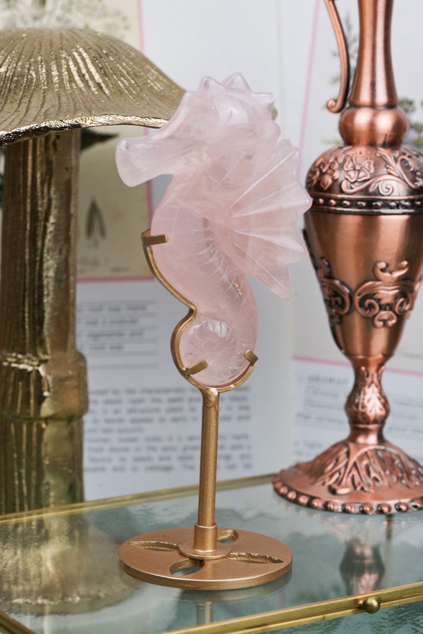 Rose Quartz | Seahorse