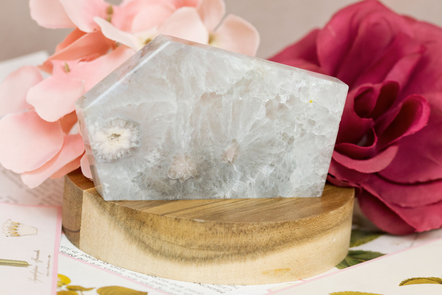 Green Quartz x Flower Agate | Slabs