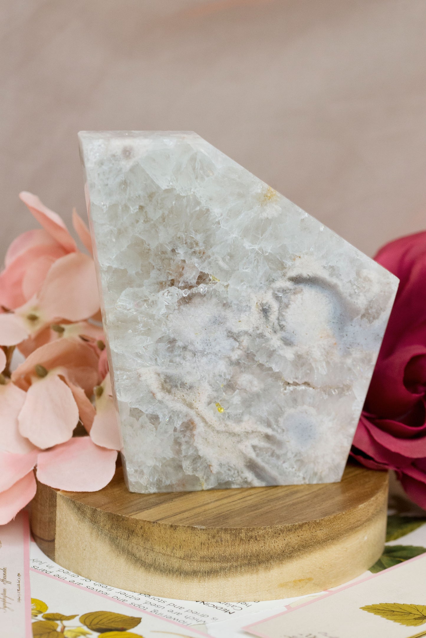 Green Quartz x Flower Agate | Slabs