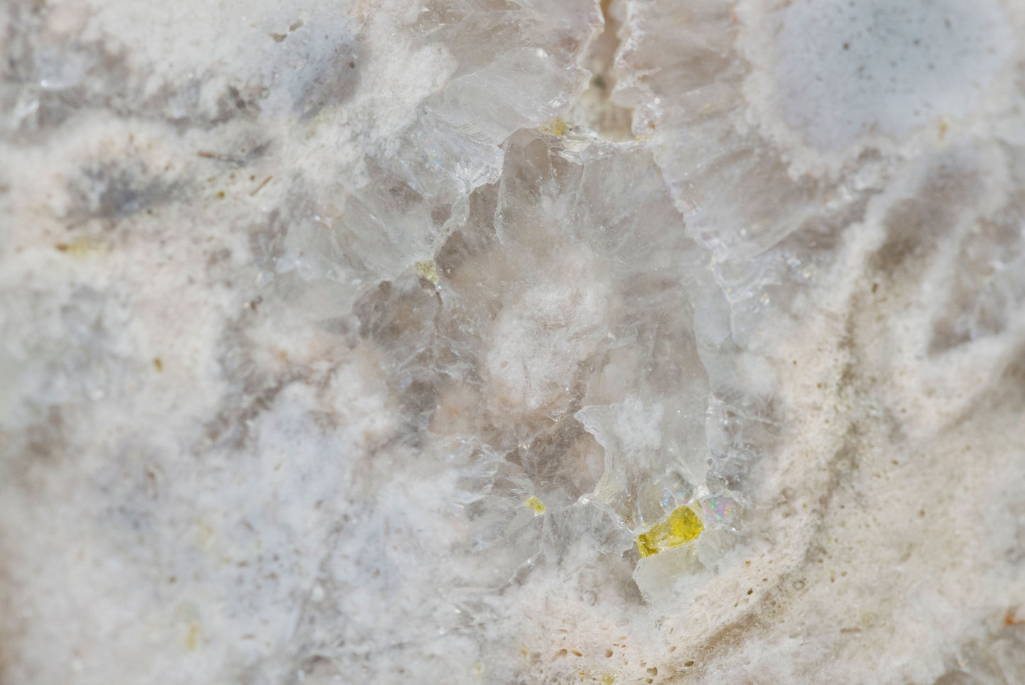 Green Quartz x Flower Agate | Slabs