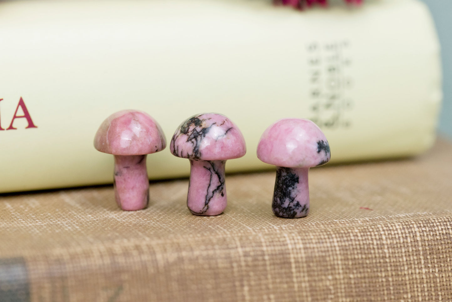 Rhodonite | Mini Mushrooms