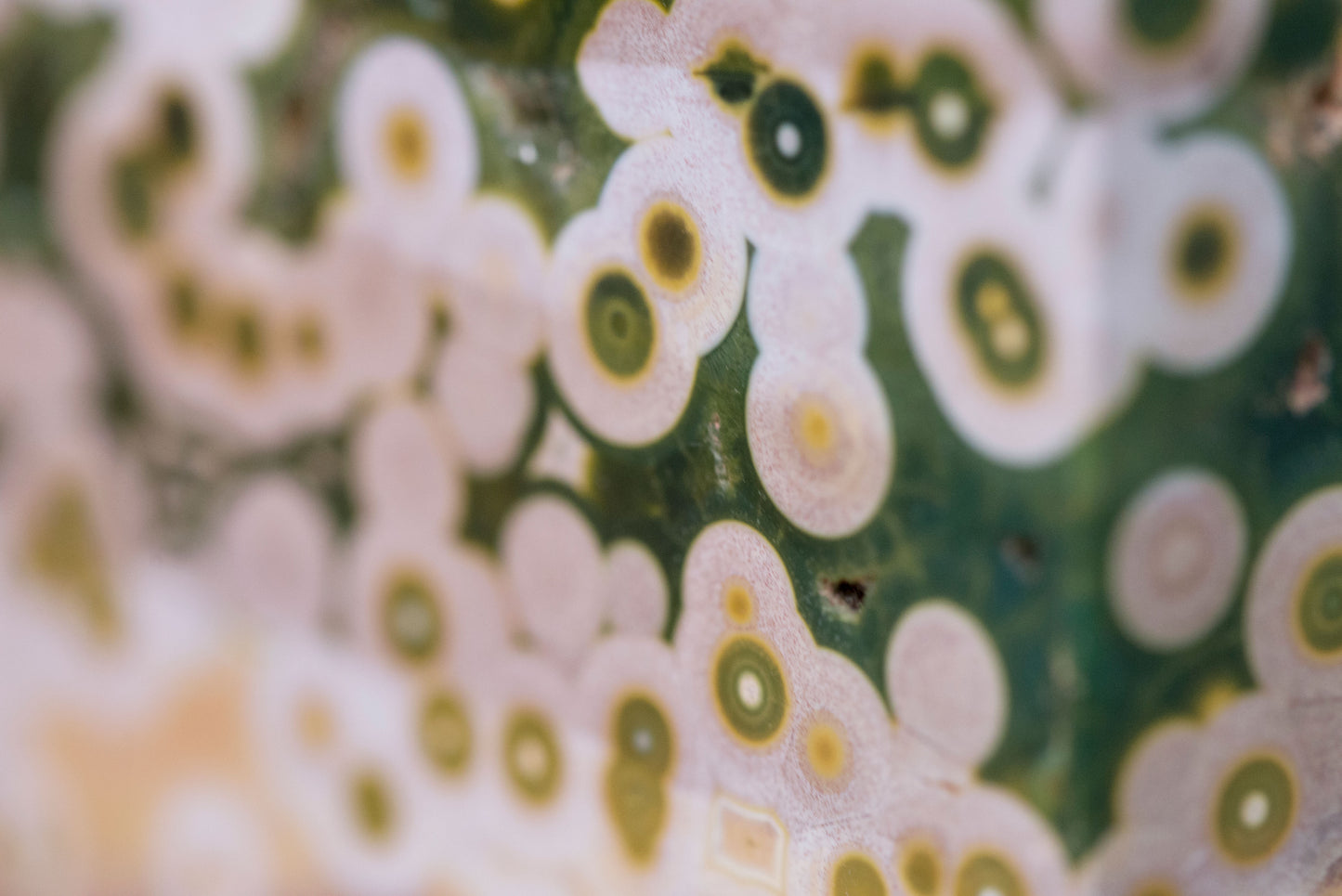 7th Vein Ocean Jasper | Freeform