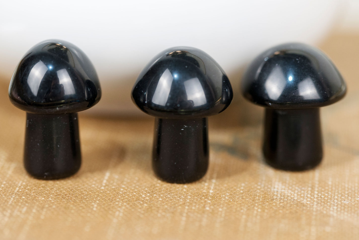 Black Obsidian | Mushrooms