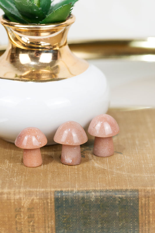 Red Aventurine | Mushrooms