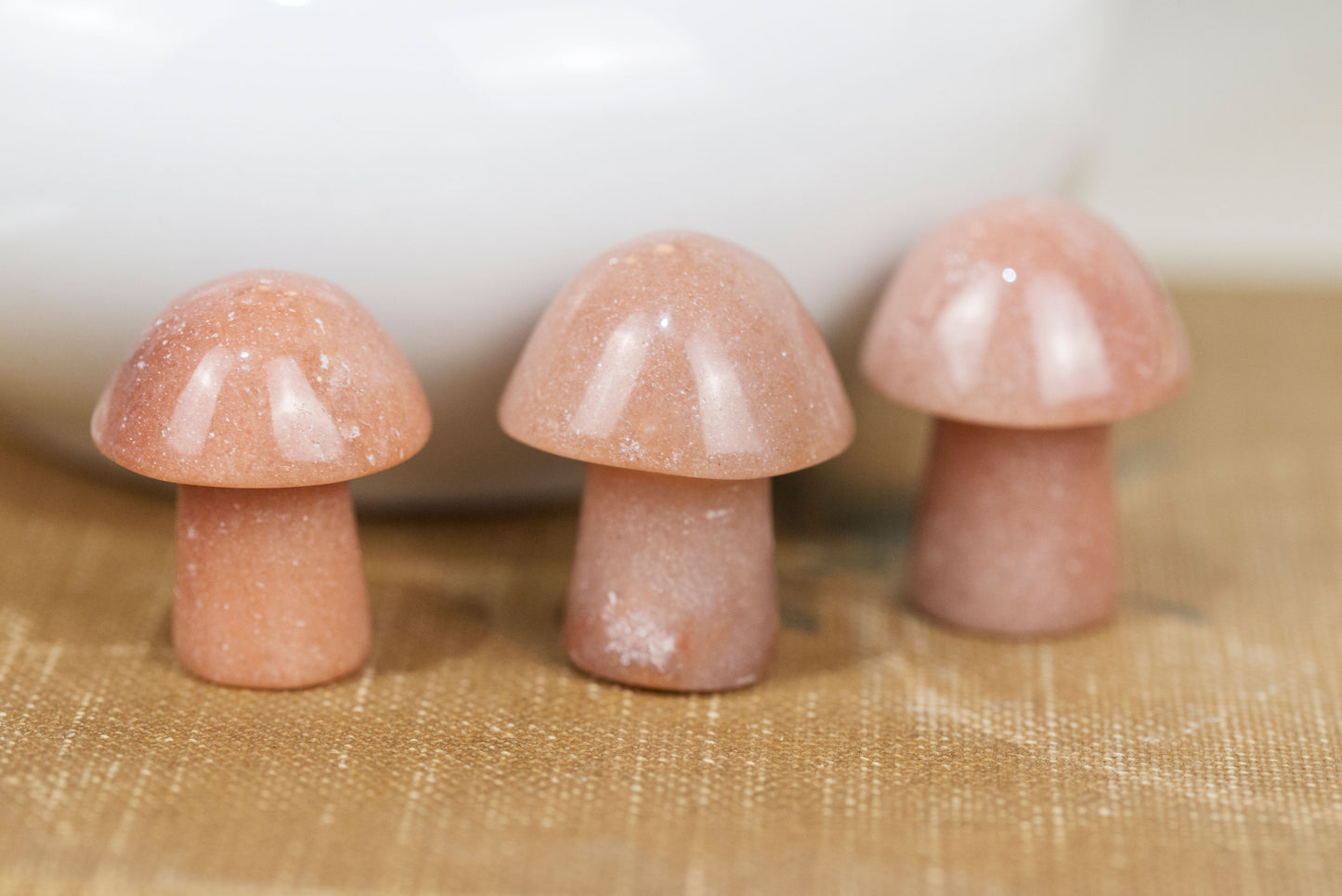 Red Aventurine | Mushrooms