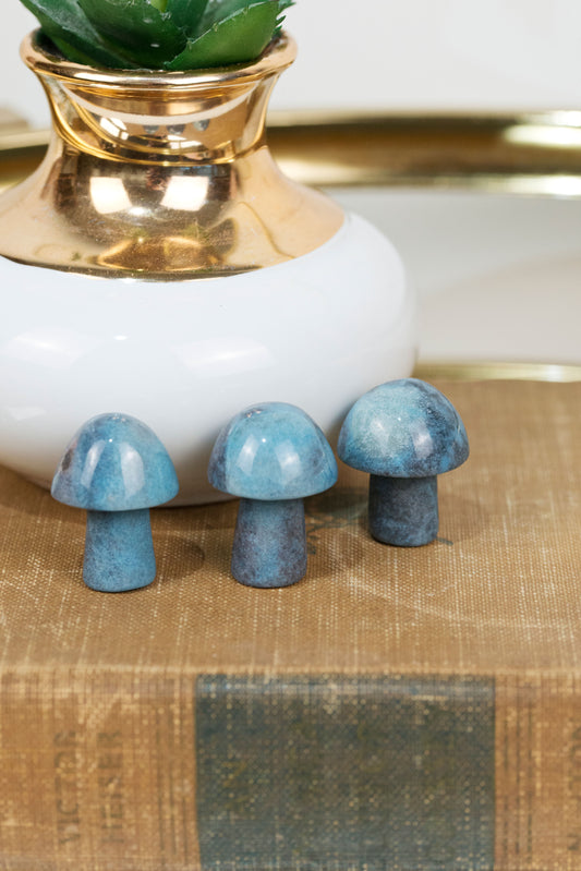 Trolleite | Mushrooms