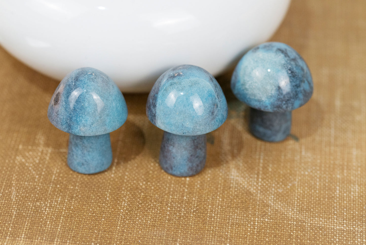 Trolleite | Mushrooms