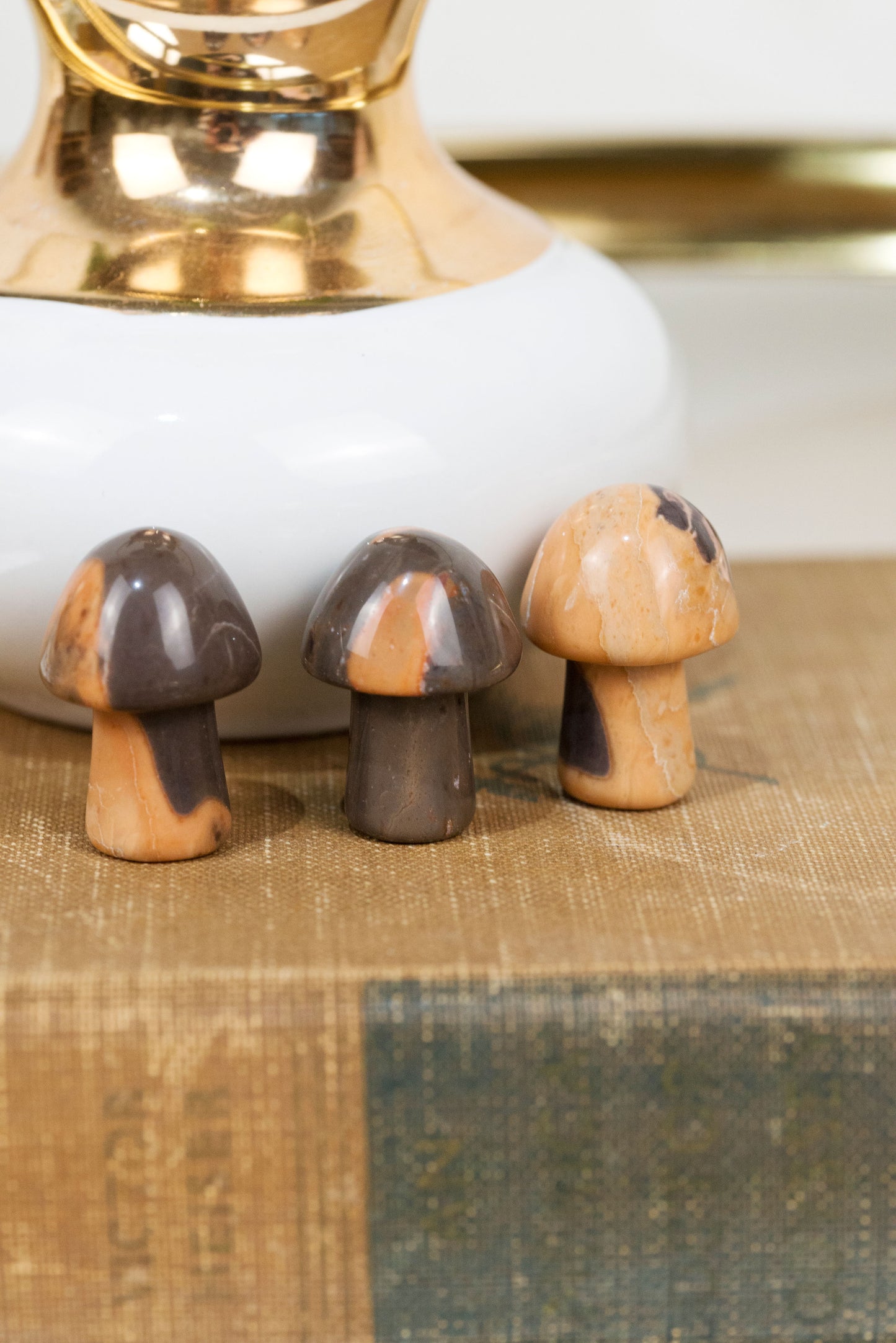 Brazilian Jasper | Mushrooms