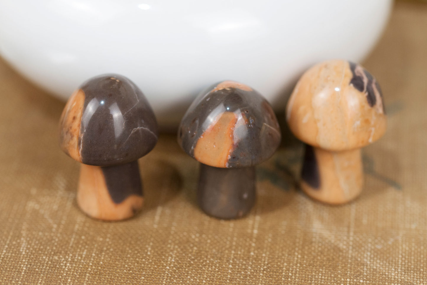 Brazilian Jasper | Mushrooms