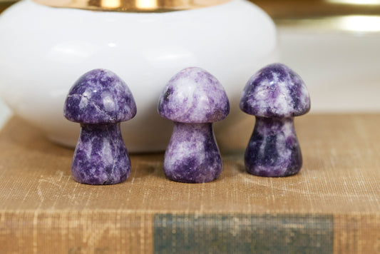 Lepidolite | Mushrooms