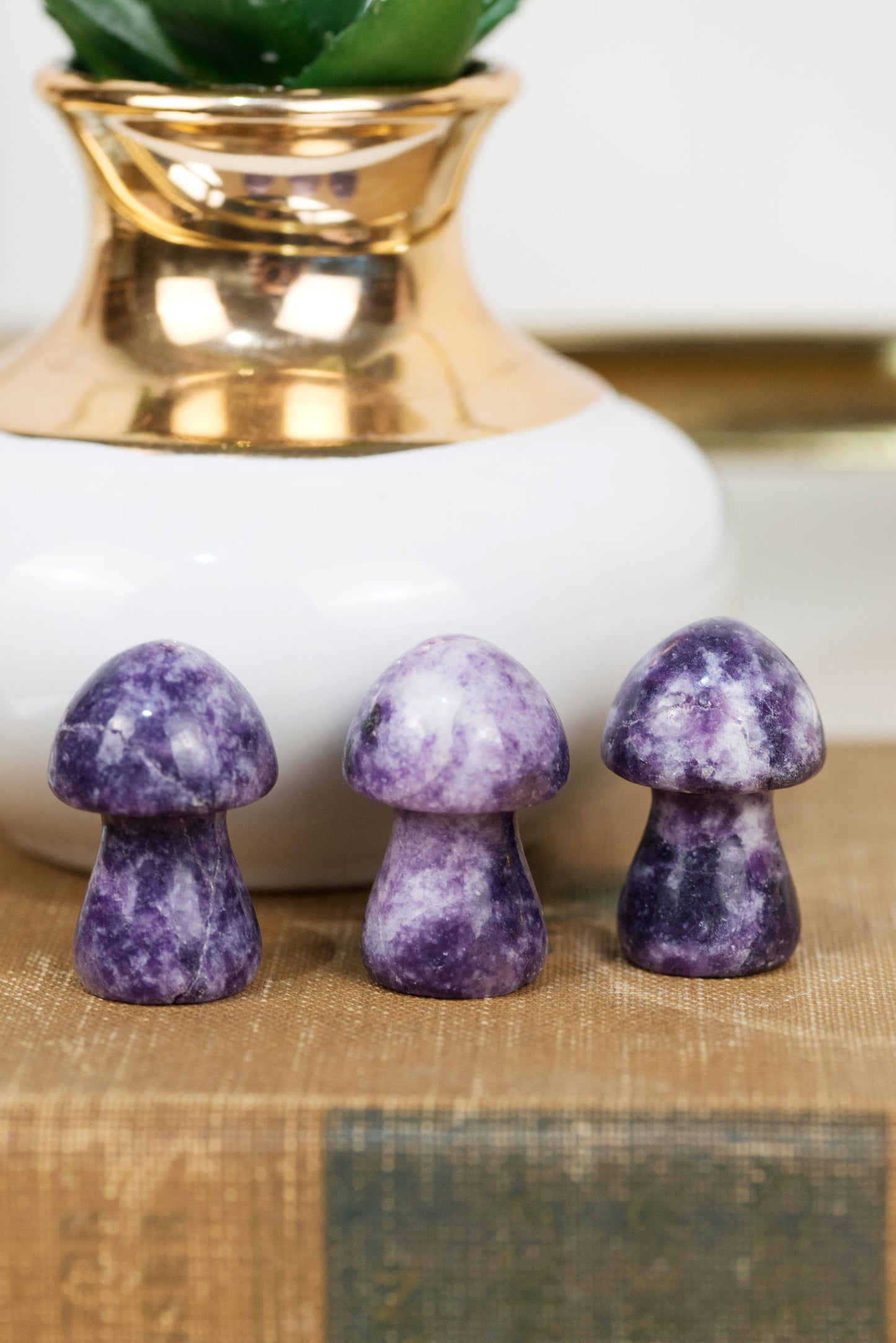 Lepidolite | Mushrooms