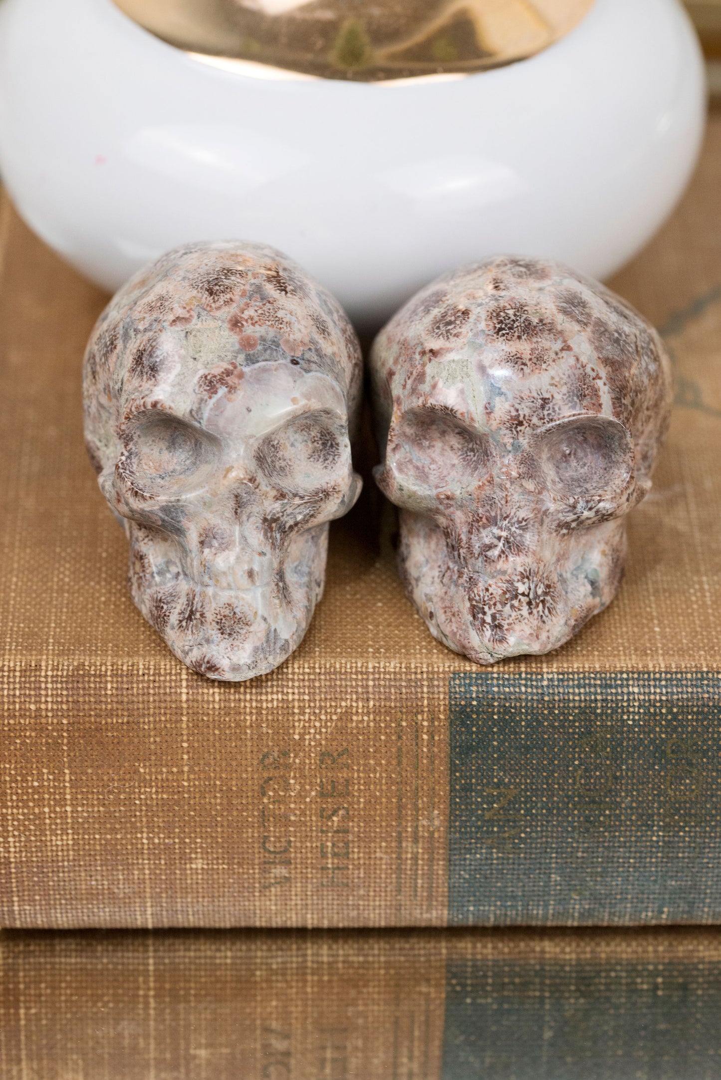 Sakura Blossom Agate | Skulls