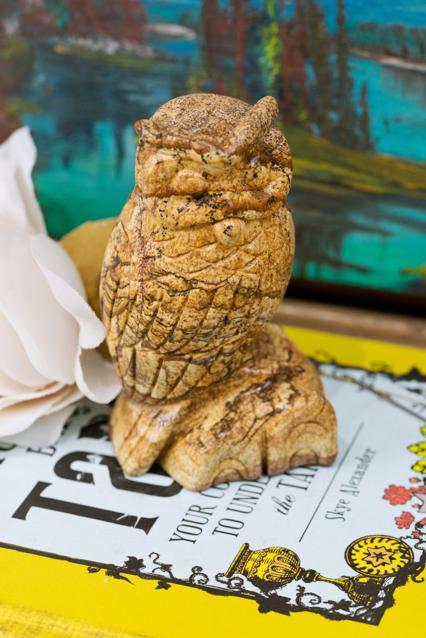 Picture Jasper | Owl