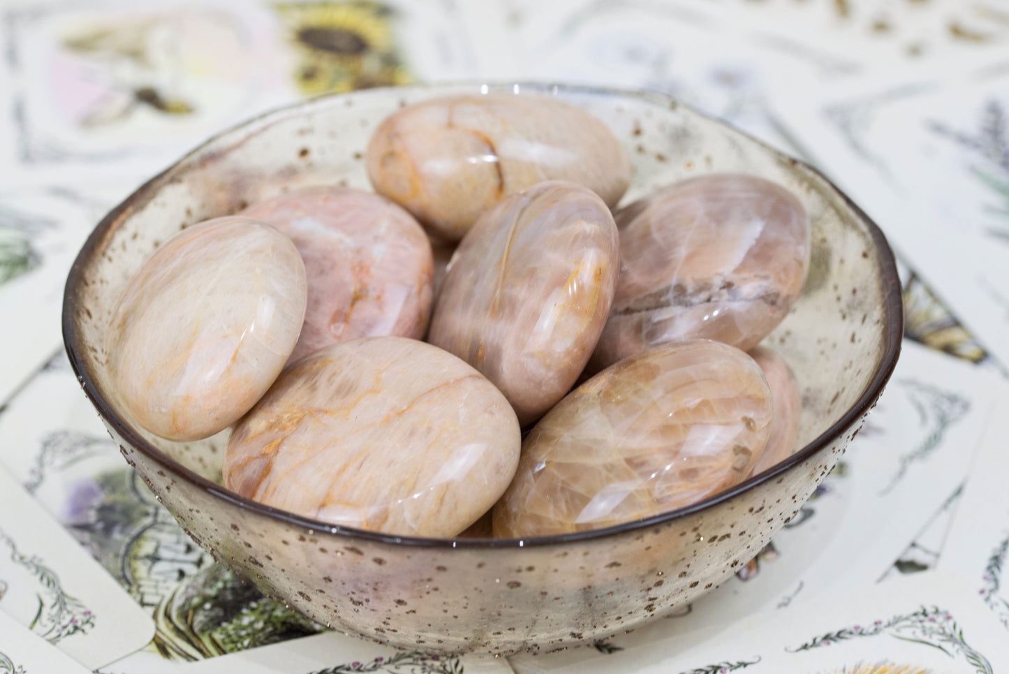 Peach Moonstone | Palms