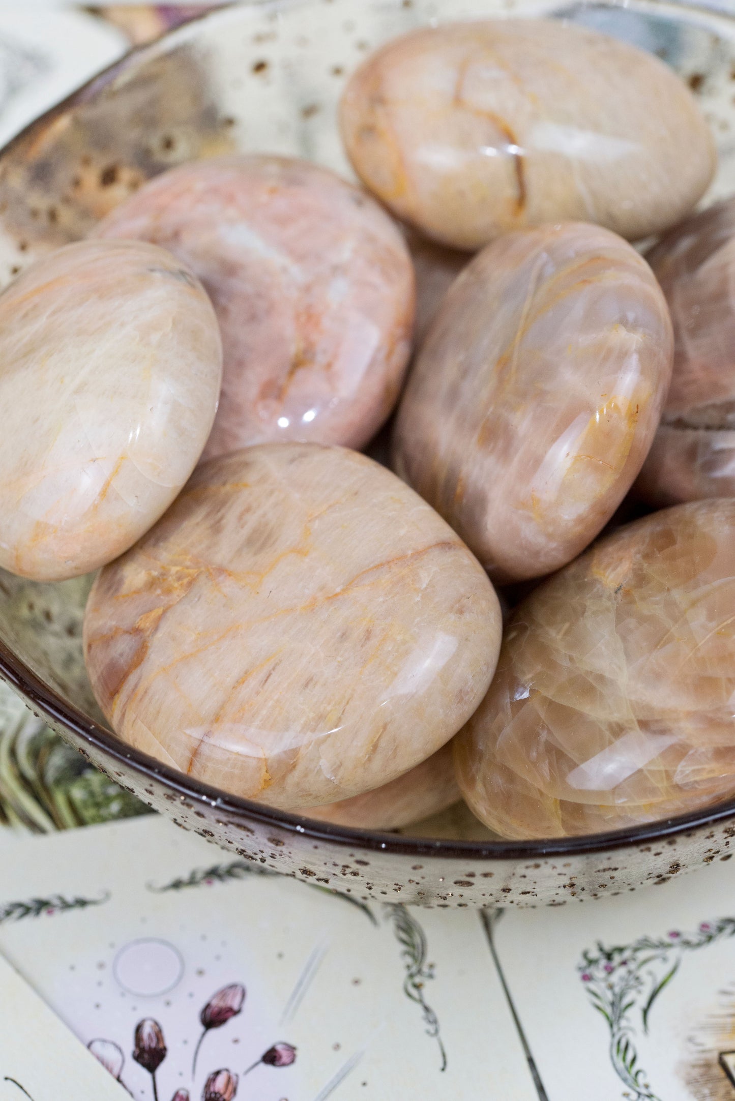 Peach Moonstone | Palms