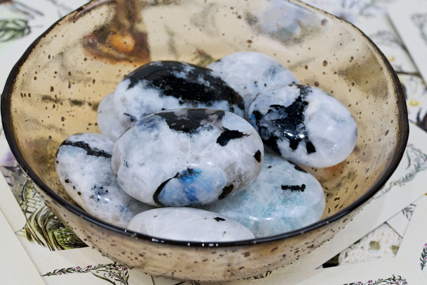 Rainbow Moonstone | Palms